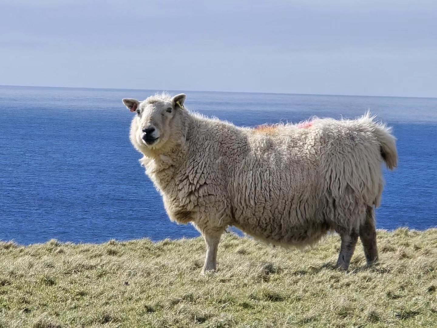 cc456e1af15cc5147cbcb02697b184.jpg cc456e1af15cc5147cbcb02697b184.jpg