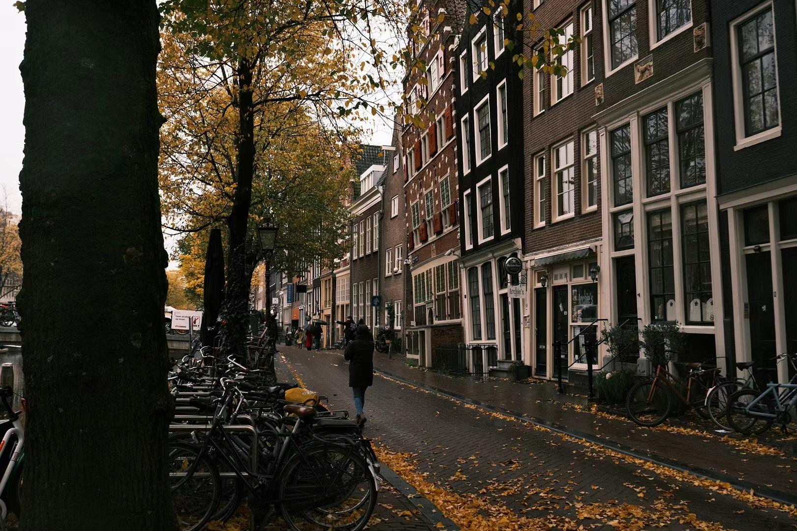 fe2ccb9ea933c65ecb4b17f9825342.jpg fe2ccb9ea933c65ecb4b17f9825342.jpg