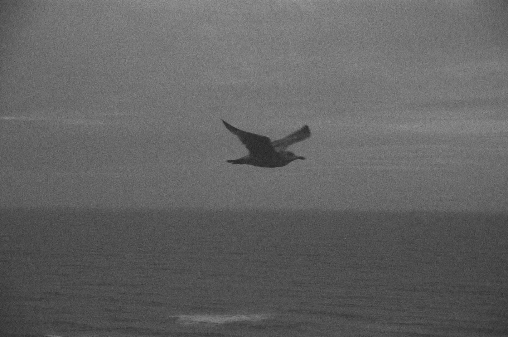 a6ab3688ccd1d1fd5b4ed4ba5a75e7.jpg a6ab3688ccd1d1fd5b4ed4ba5a75e7.jpg